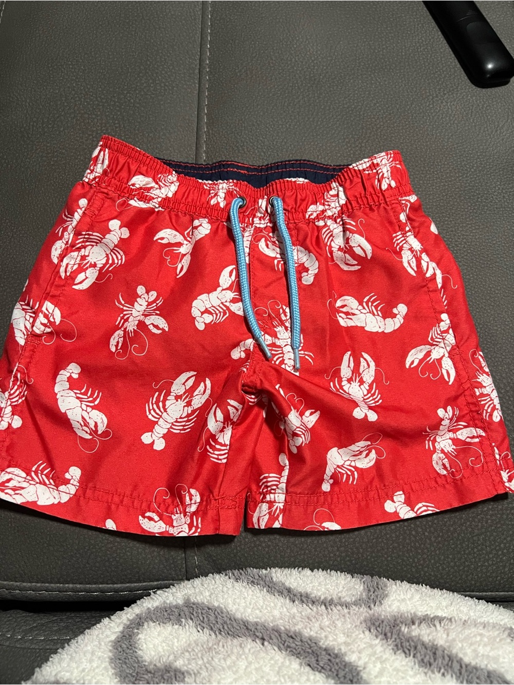 Carter’s Swim Trunks 2T